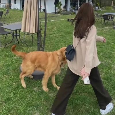 罗斌的烦恼